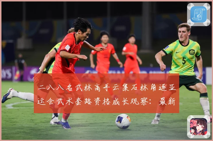 二八八名武林高手云集石林角逐亚运会武术套路资格成长观察：最新赛事动态与深度分析