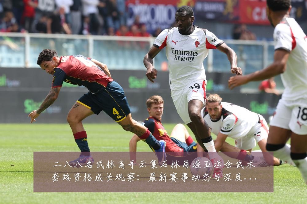 二八八名武林高手云集石林角逐亚运会武术套路资格成长观察：最新赛事动态与深度分析